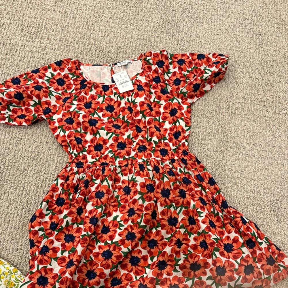 Crewcuts Red and Blue Floral Kids Dress